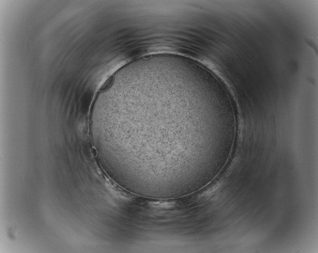 X0000099411145200805231558