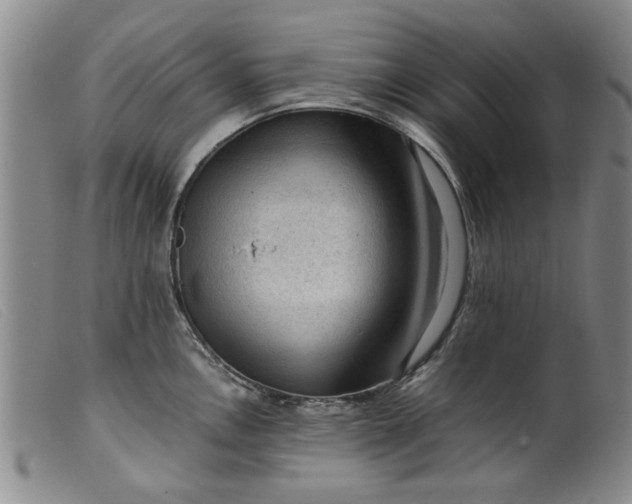 X0000099411146200805231558