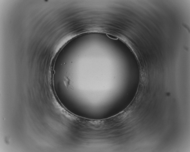 X0000099411147200805231558