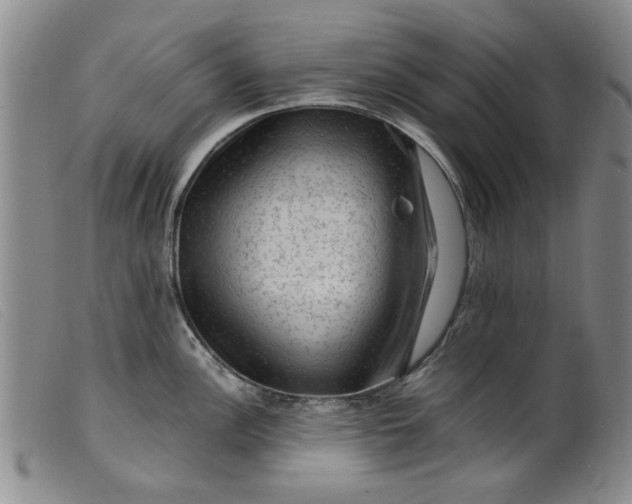 X0000099411148200805231558