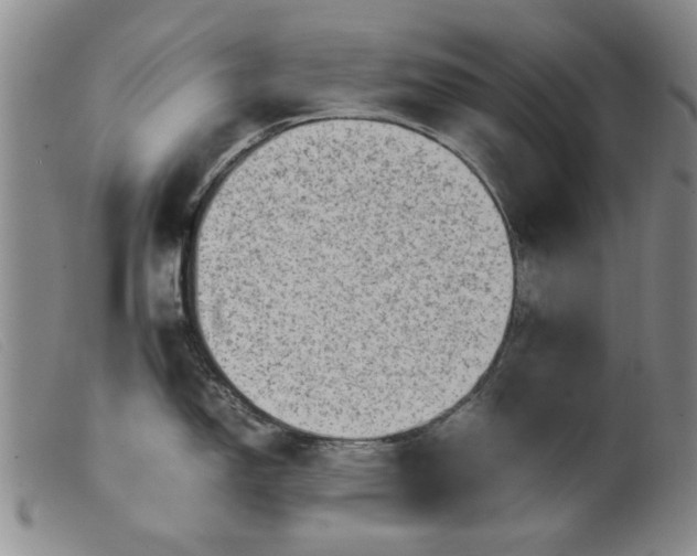 X0000099411150200805231558