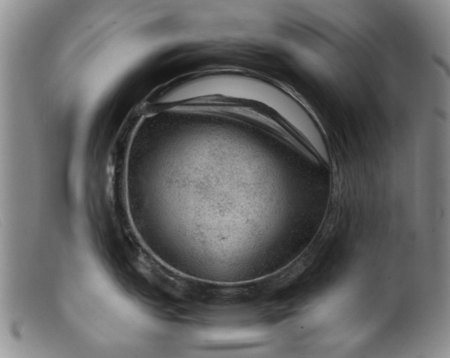 X0000099411151200805231558