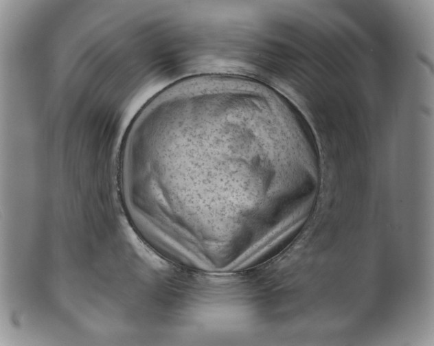 X0000099411152200805231558