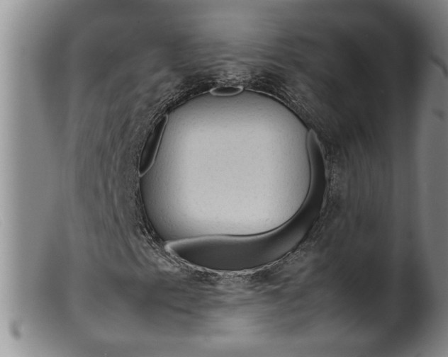 X0000099411153200805231557