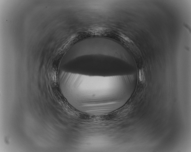 X0000099411155200805231557