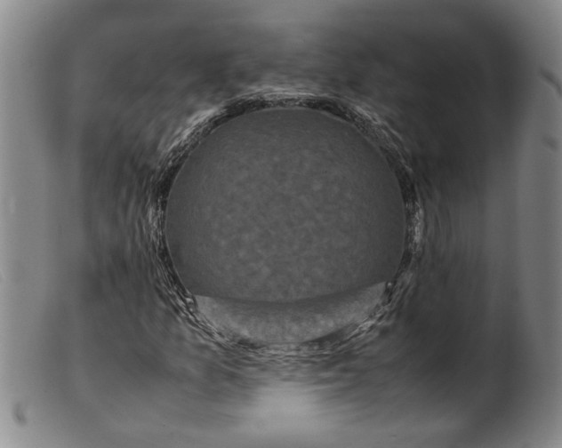 X0000099411157200805231557