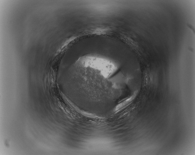 X0000099411158200805231557