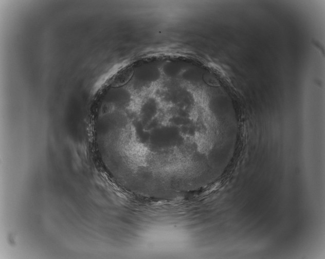 X0000099411159200805231557