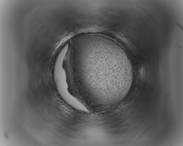 X0000099411160200805231557