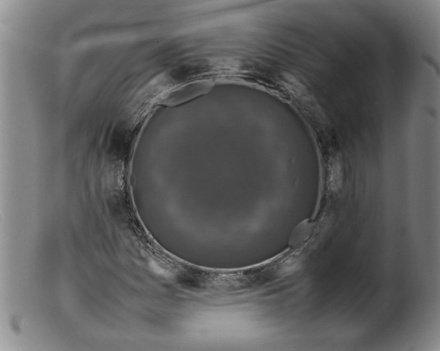 X0000099411161200805231557