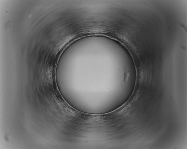 X0000099411162200805231557