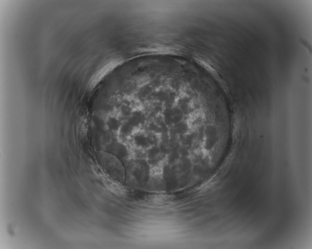 X0000099411163200805231557