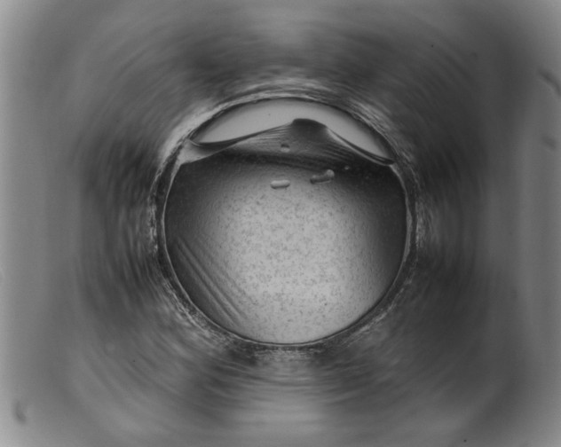 X0000099411164200805231557