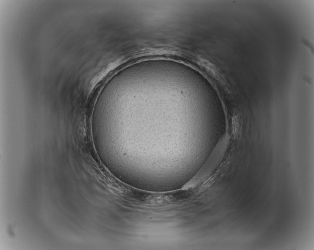 X0000099411165200805231557