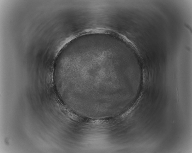 X0000099411166200805231557