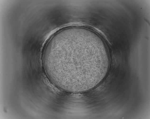 X0000099411168200805231557