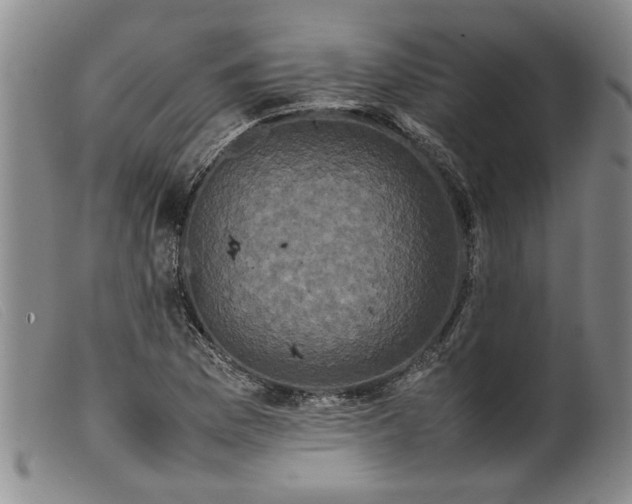 X0000099411169200805231557