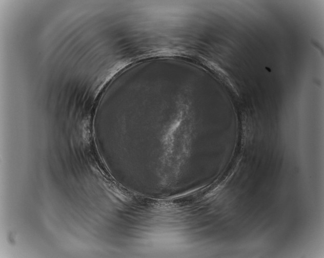 X0000099411170200805231557