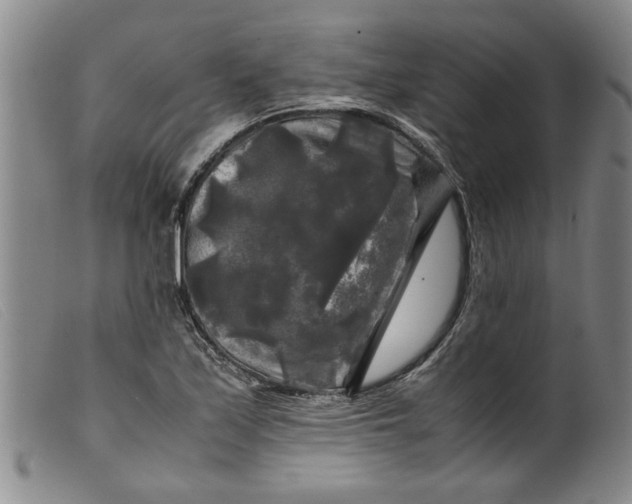 X0000099411171200805231557