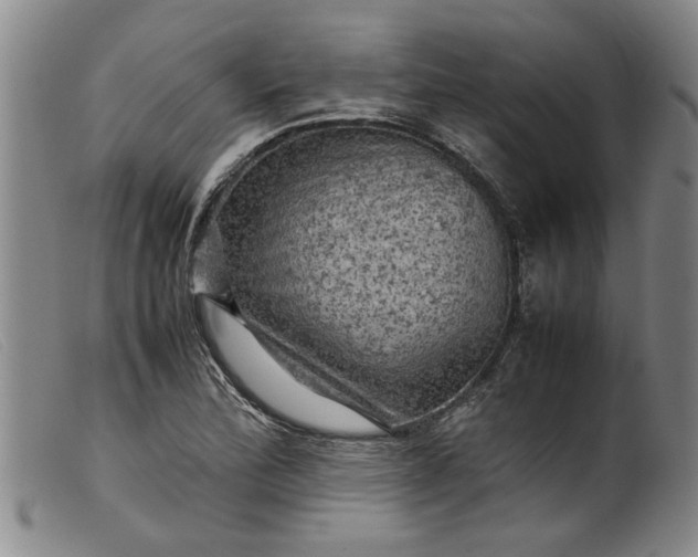 X0000099411172200805231557