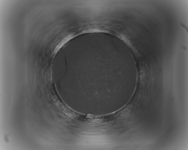 X0000099411173200805231557