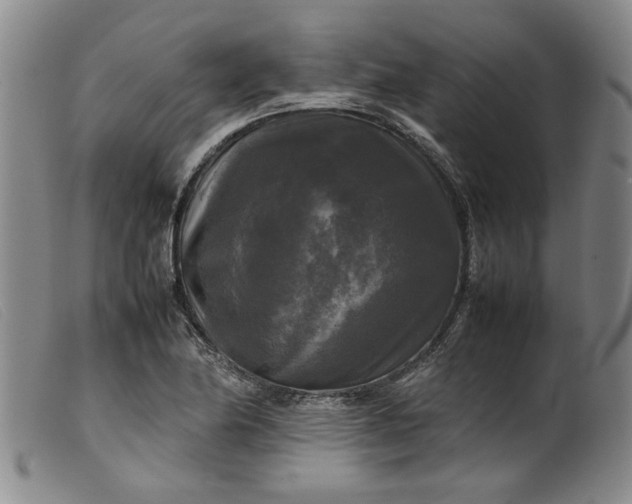 X0000099411174200805231557