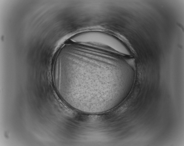 X0000099411176200805231557