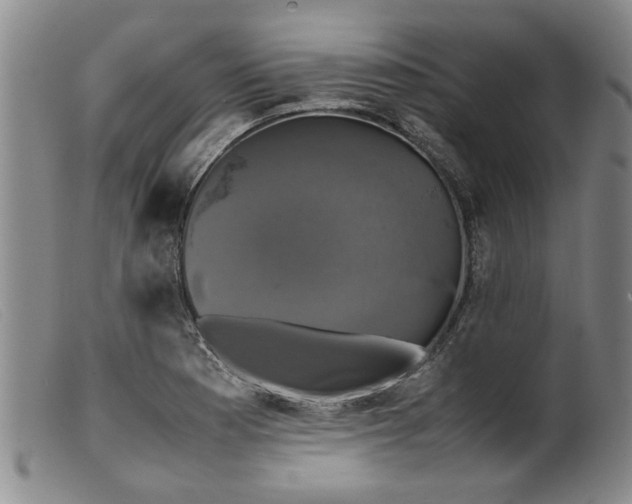 X0000099411177200805231557