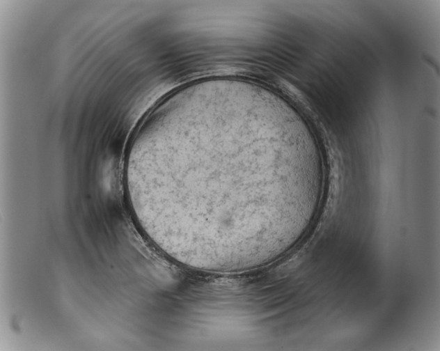 X0000099411178200805231557