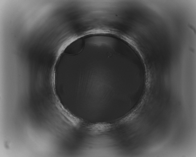 X0000099411179200805231557