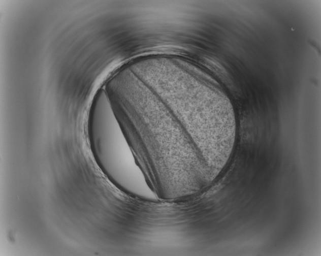 X0000099411180200805231556