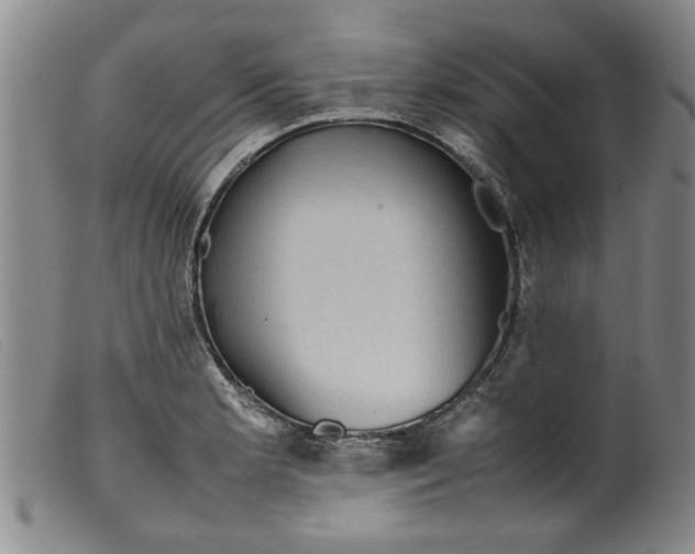 X0000099411181200805231556