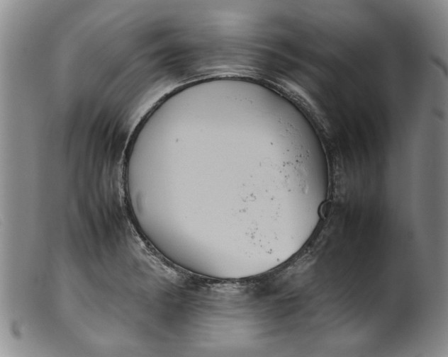 X0000099411182200805231556