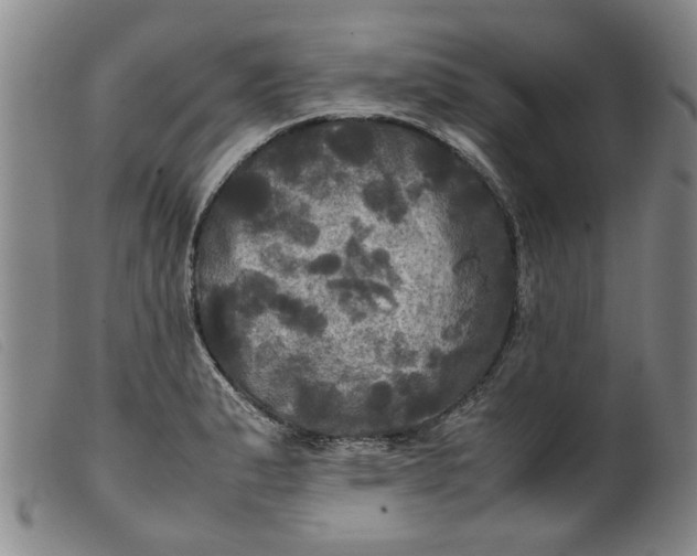 X0000099411183200805231556