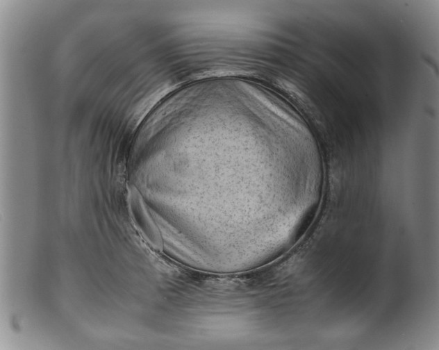 X0000099411185200805231556