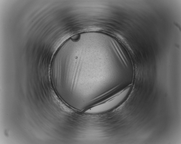 X0000099411186200805231556