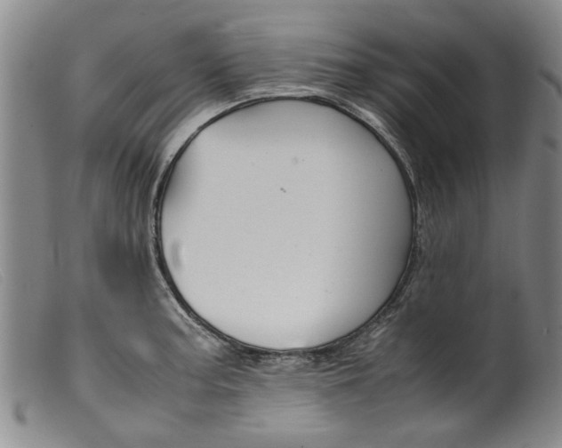 X0000099411187200805231556