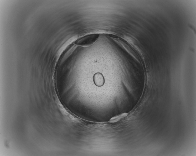 X0000099411189200805231556