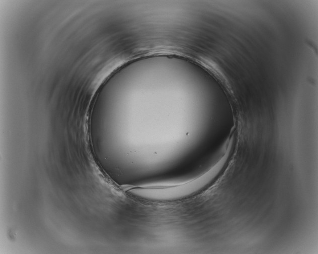 X0000099411190200805231556