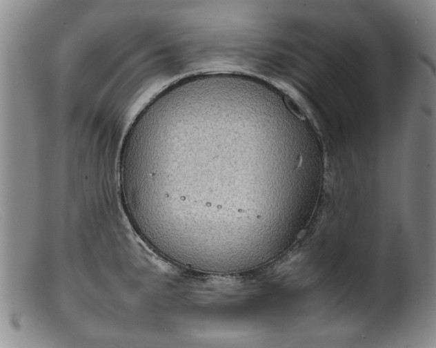 X0000099411191200805231556