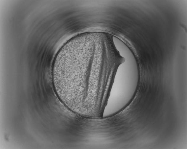 X0000099411192200805231556