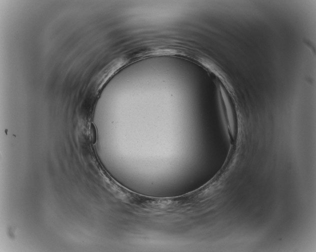 X0000099411193200805231556