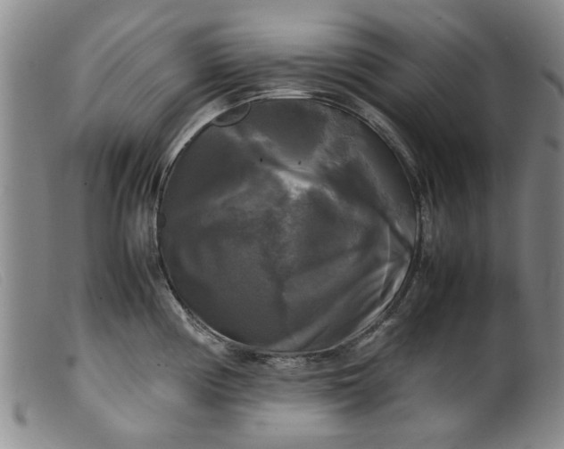 X0000099411194200805231556