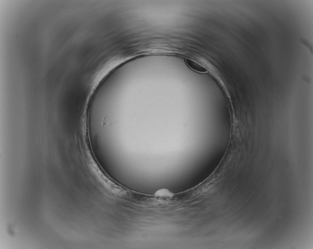 X0000099411195200805231556