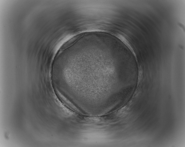 X0000099411197200805231556