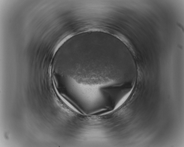 X0000099411198200805231556