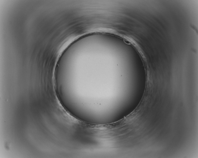 X0000099411199200805231556