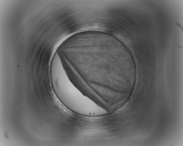 X0000099411200200805231556