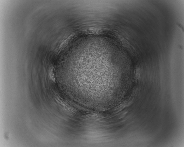 X0000099411202200805231555