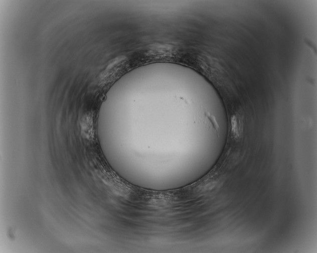 X0000099411203200805231556